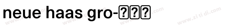 neue haas gro字体转换